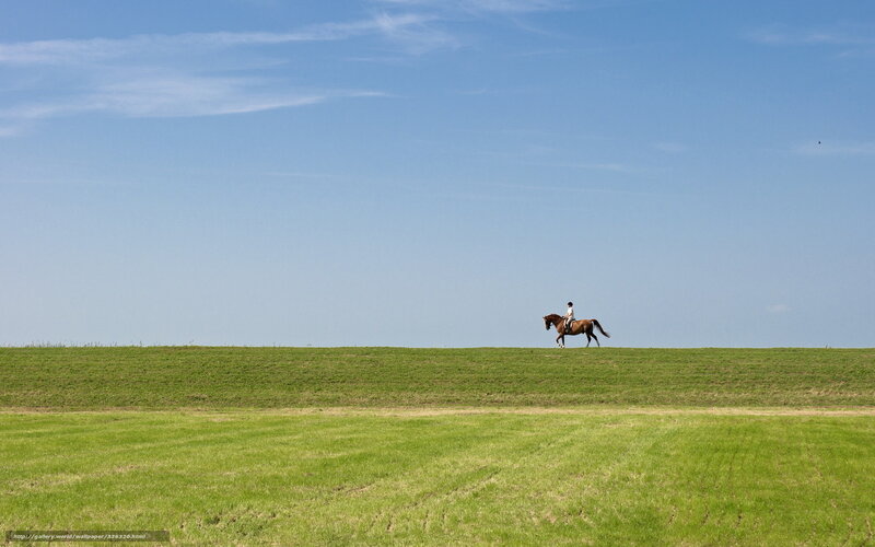 Rider on a grassy hill