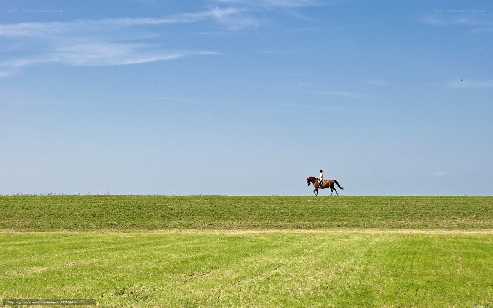 Rider on a green hill