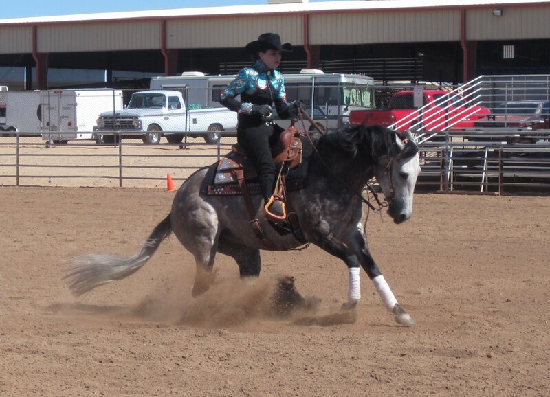 Rider on a Horse — Brown, Active