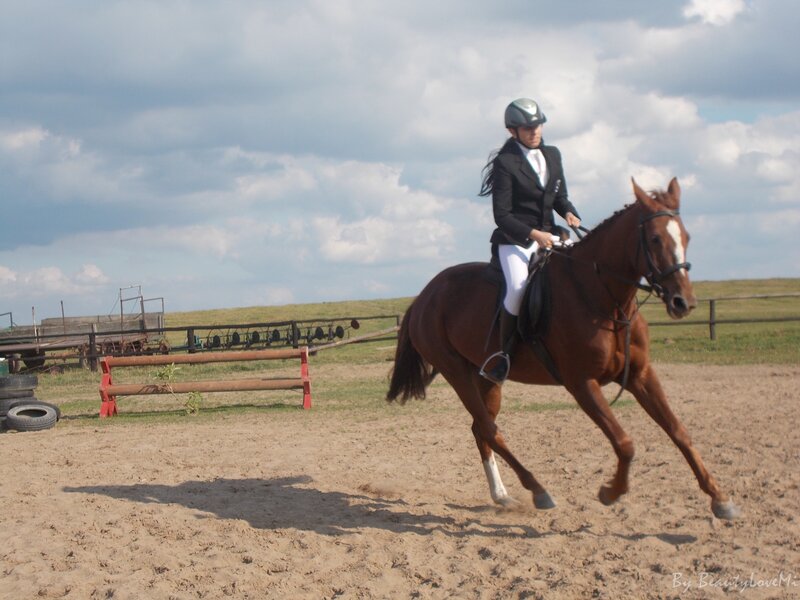Rider on a Horse — Brown, Outdoor