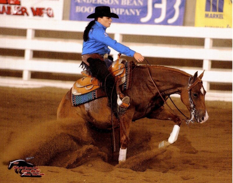 Rider on a Horse — Brown