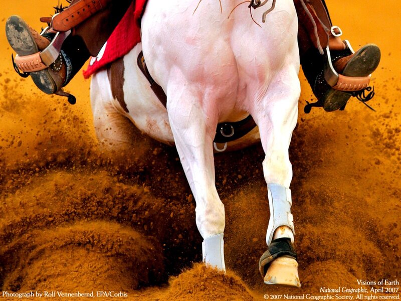 Rider on a horse in motion