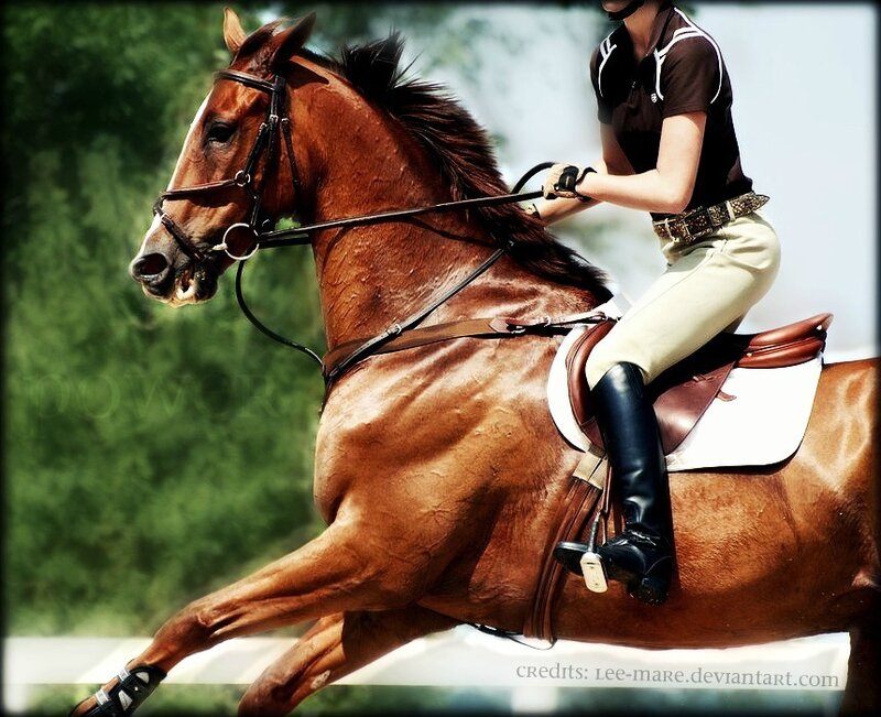 Rider on a Horse