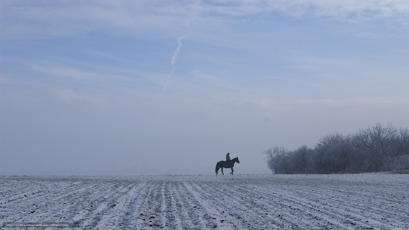 Rider on a snowy field