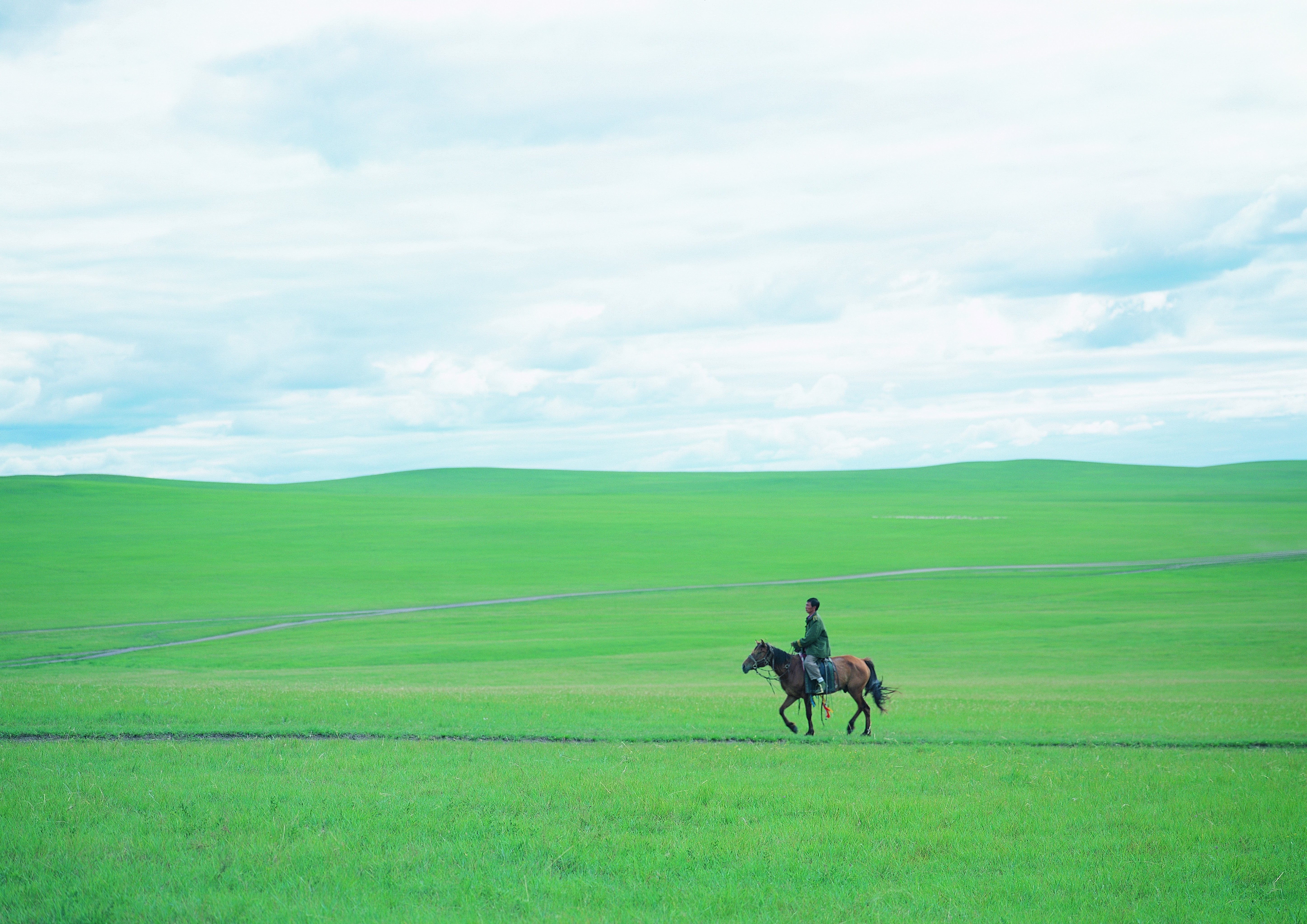 Rider on a vast green plain