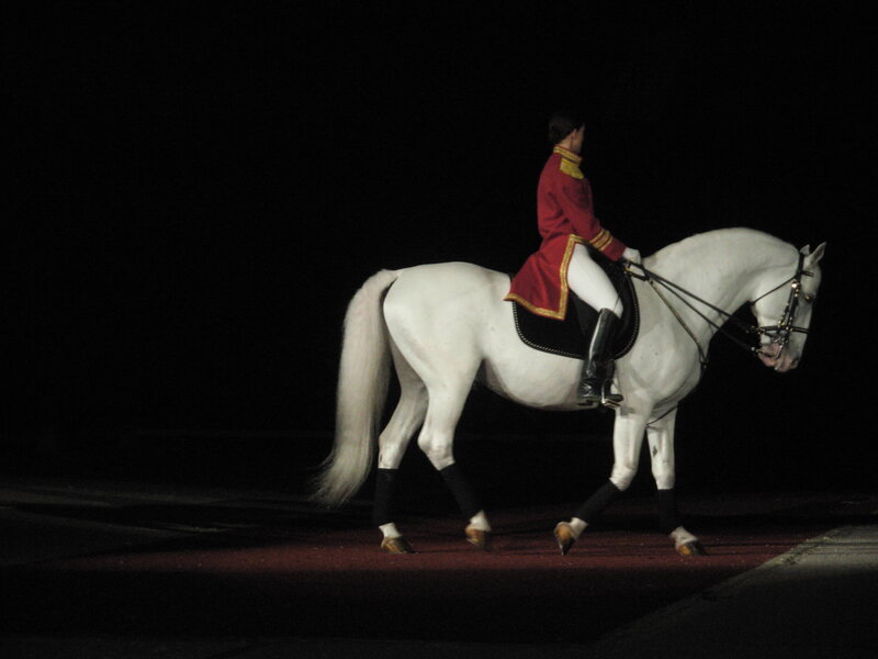 Rider on a white horse