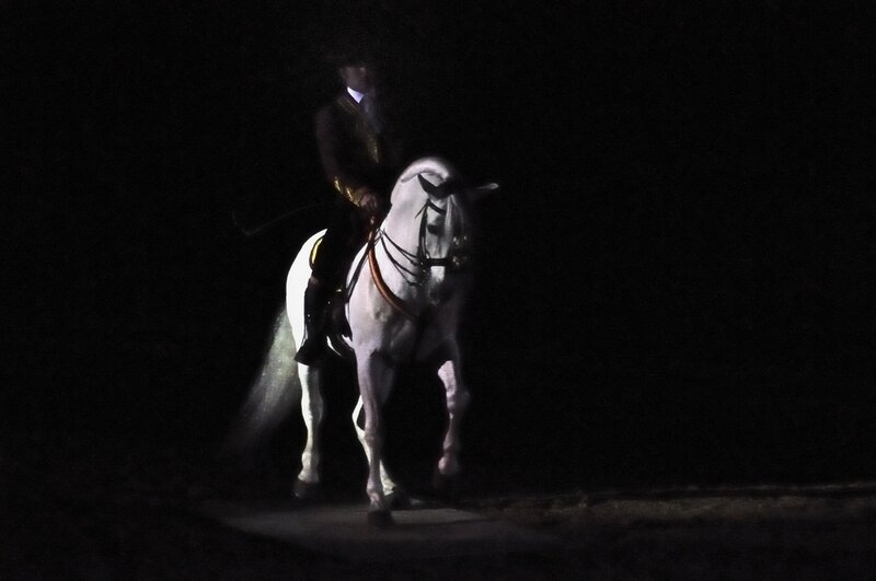 Rider on a white horse at night