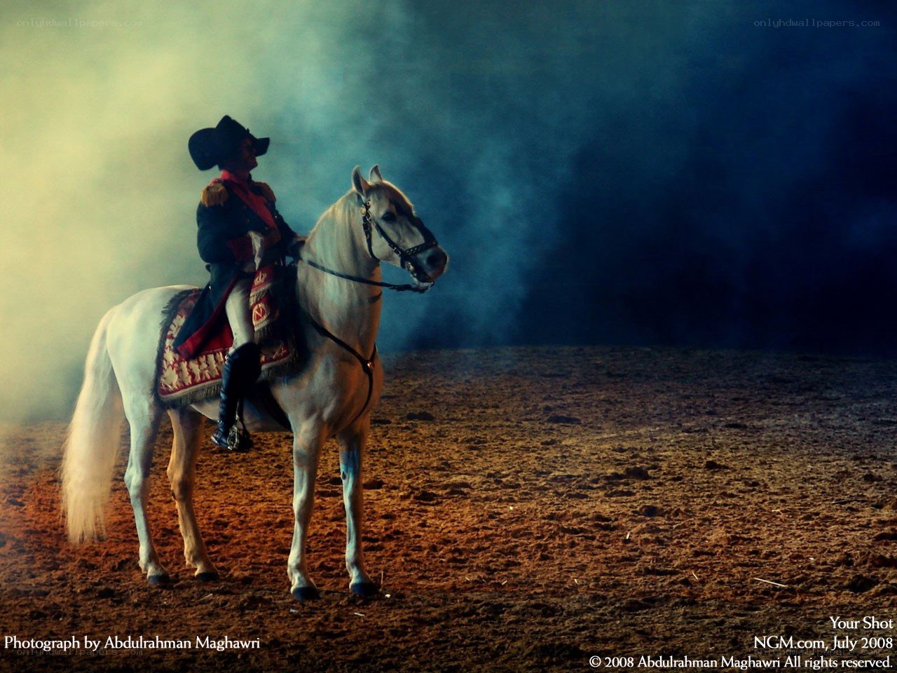 Rider on a white horse