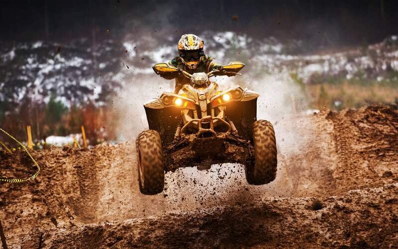 Rider on ATV — Brown, Dynamic