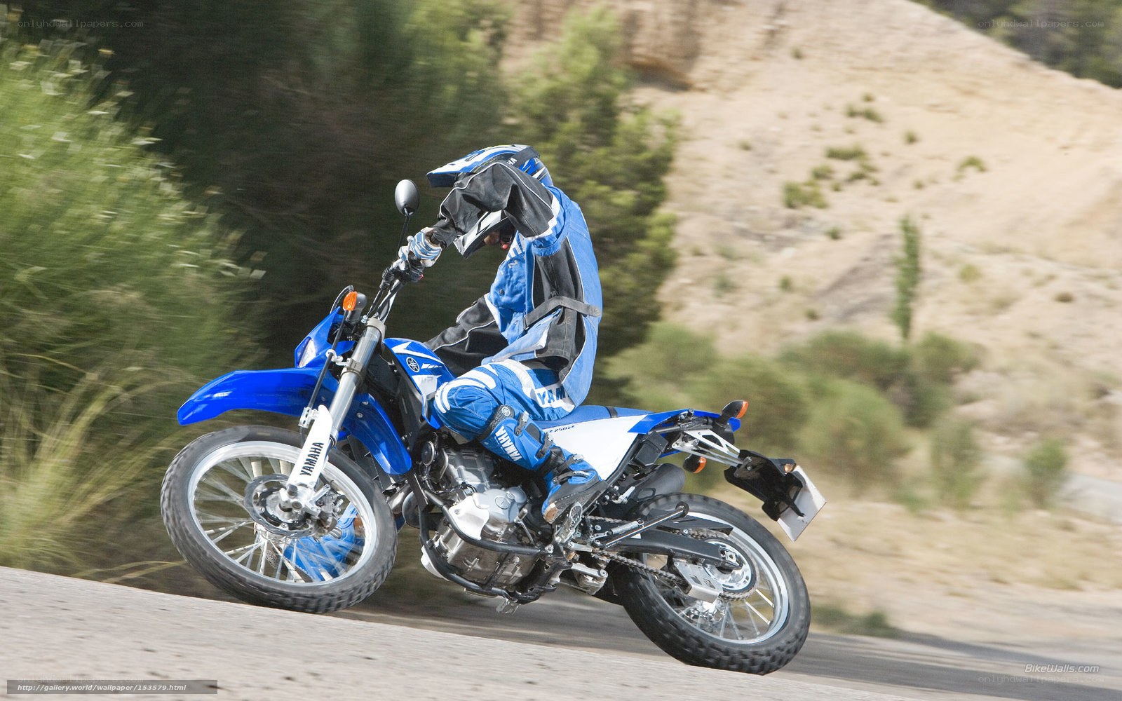 rider on blue motorcycle