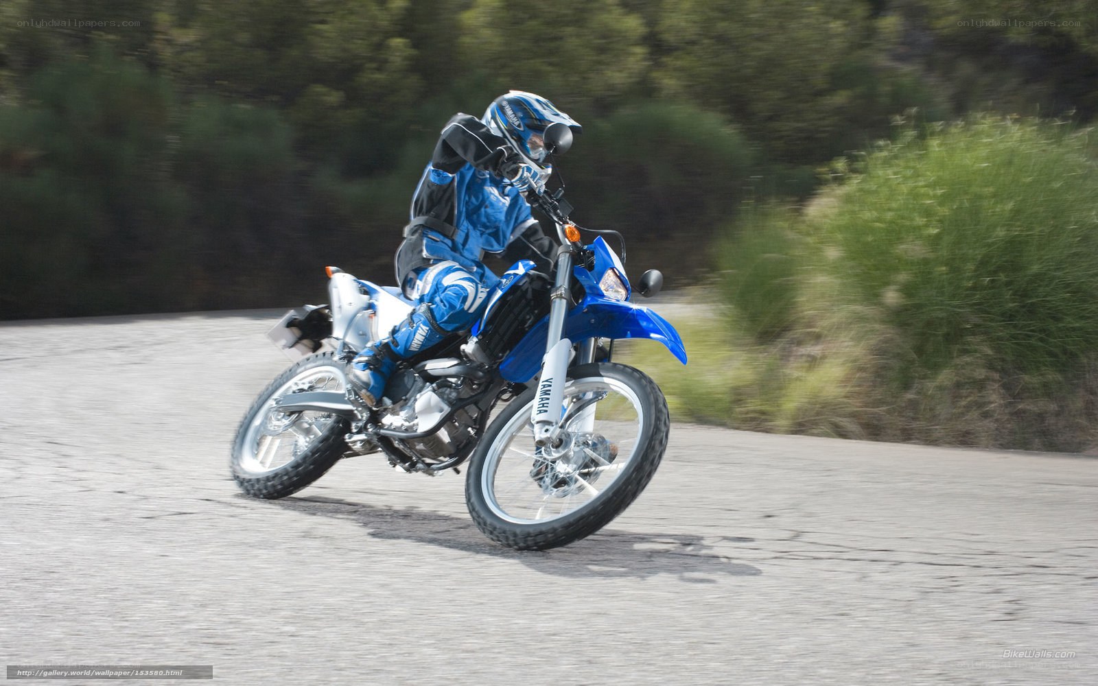 rider on blue motorcycle