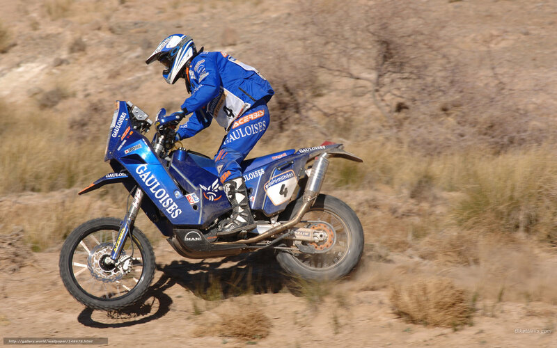Rider on Blue Motorcycle — Dynamic, Afternoon, Photograph, Dirt Track