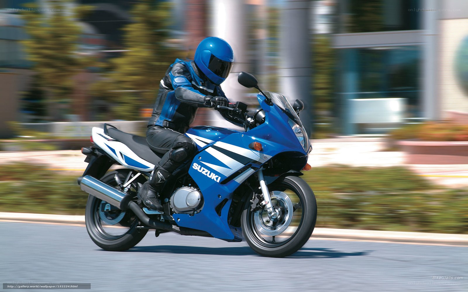rider on blue Suzuki motorcycle