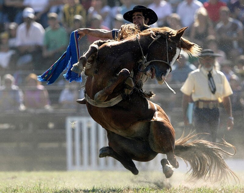 Rider on Bucking Horse — Brown