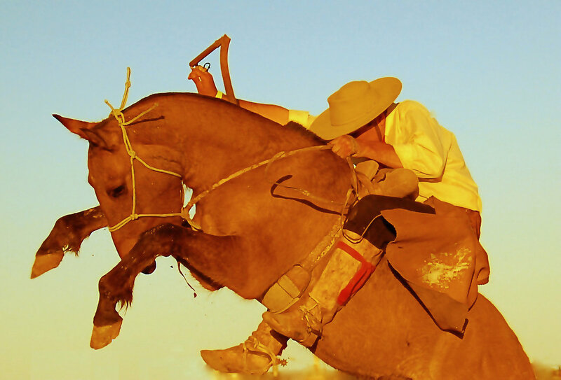Rider on Bucking Horse