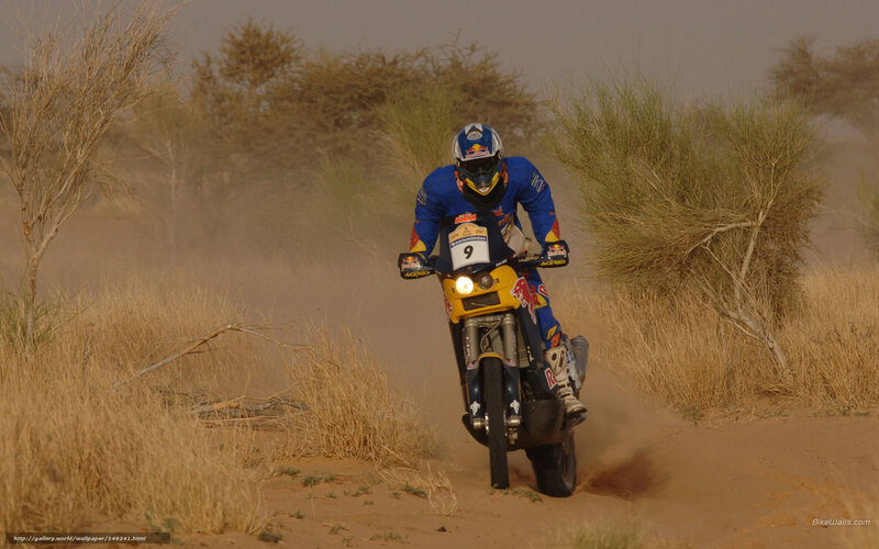 Rider on Dirt Bike — Brown