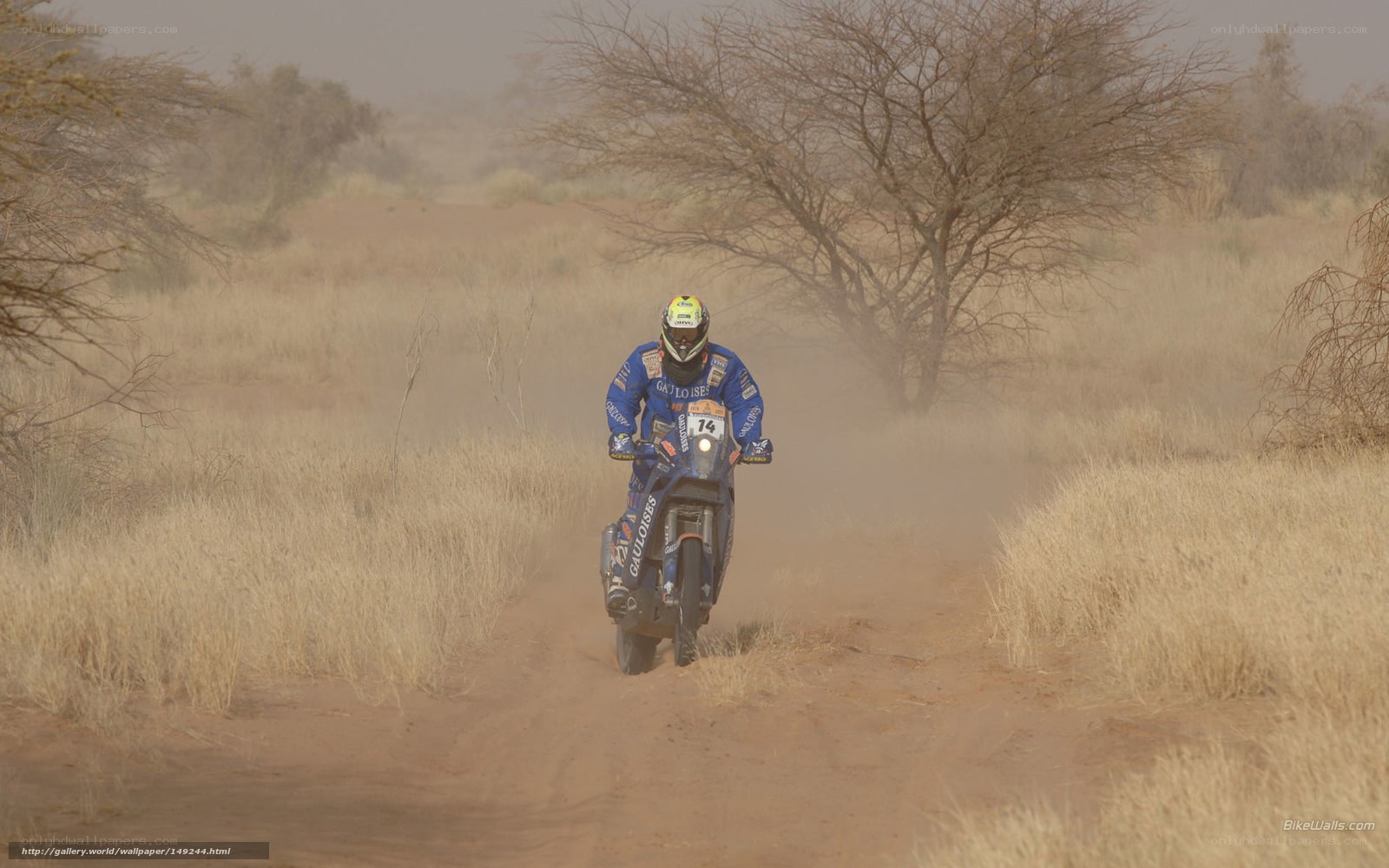 rider on dirt bike in desert