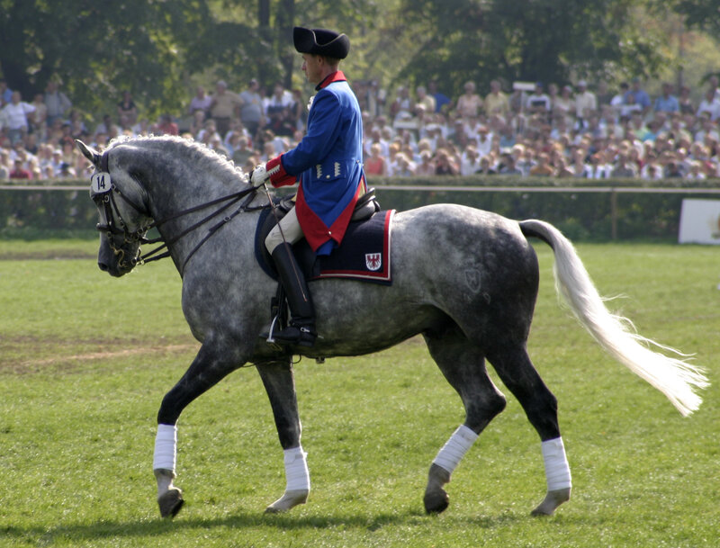Rider on Gray Horse — Formal