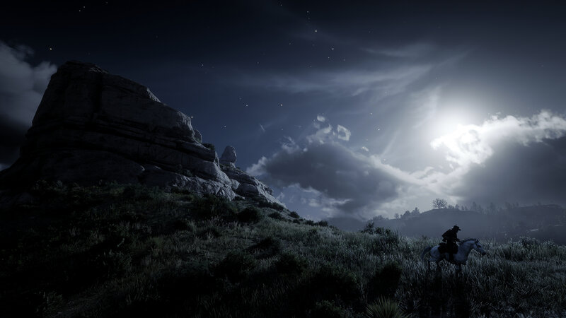 Rider on Horse at Night