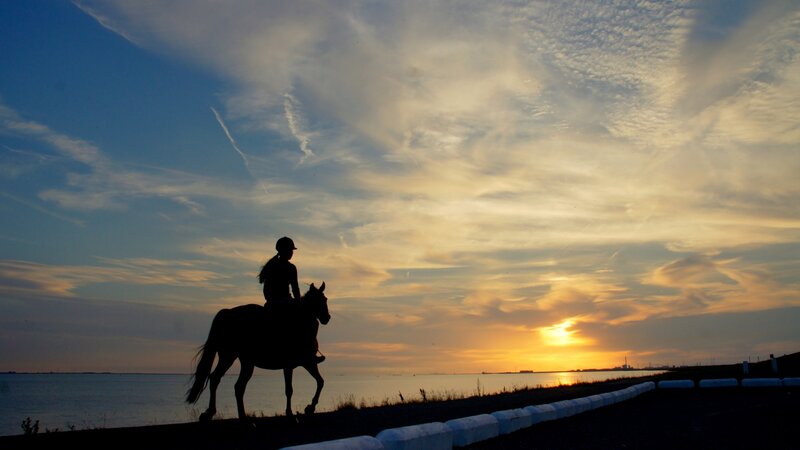 Rider on Horse at Sunset — Blue