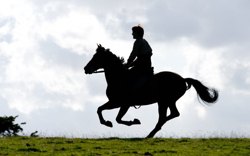 Rider on Horse — Green, Dramatic, Afternoon, Photograph