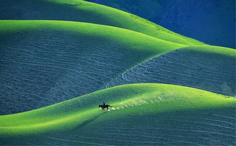 Rider on Horse — Green