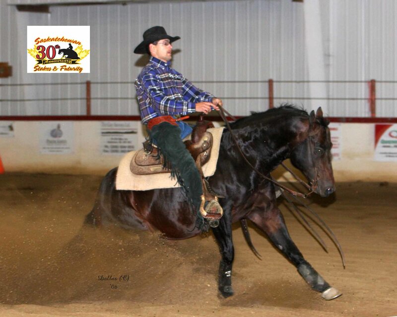 Rider on horse in arena