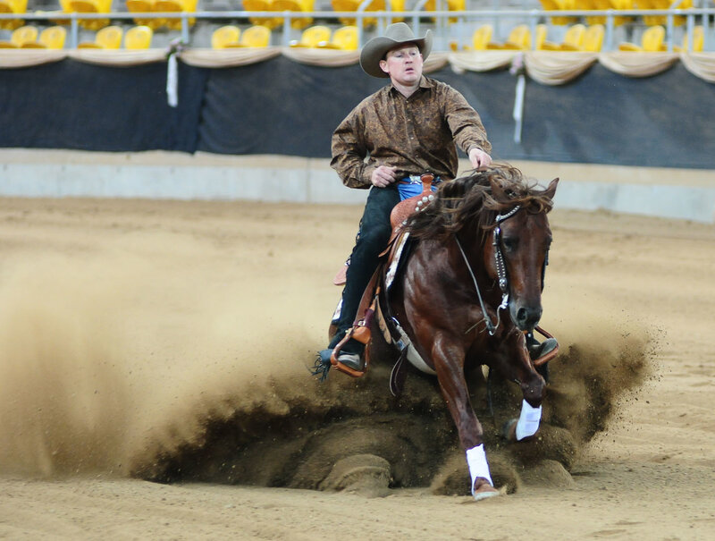 Rider on horse in arena