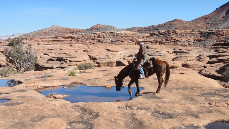 Rider on Horse in Desert — Brown