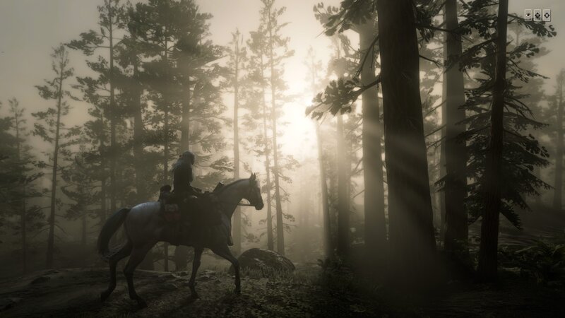 Rider on Horse in Forest — Gray