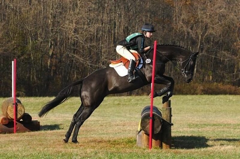 Rider on Horse Jumping — Brown, Active