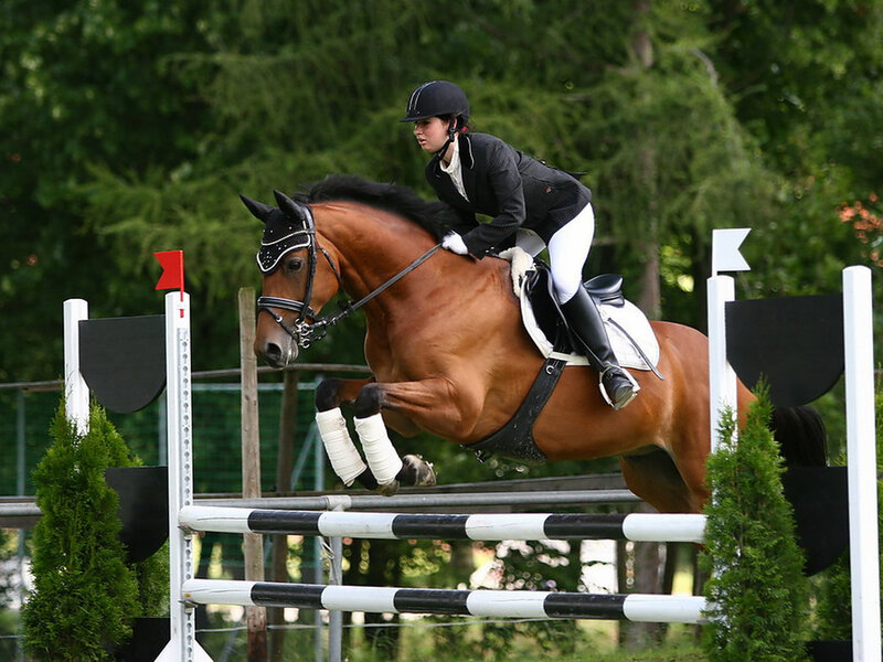 Rider on Horse Jumping — Brown, Focused