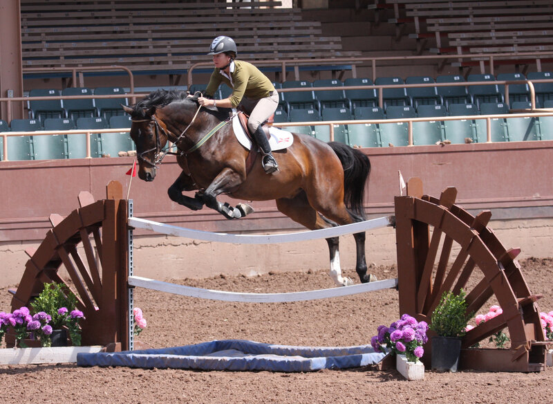 Rider on Horse Jumping — Brown
