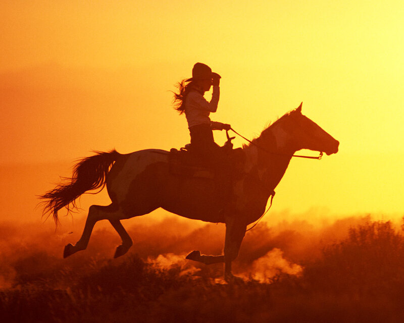 Rider on Horse — Orange