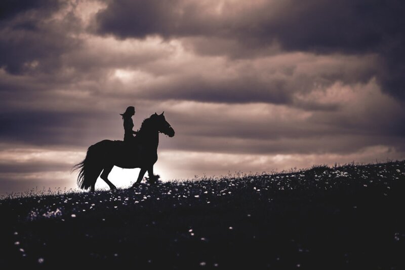 Rider on Horse Silhouette — Black