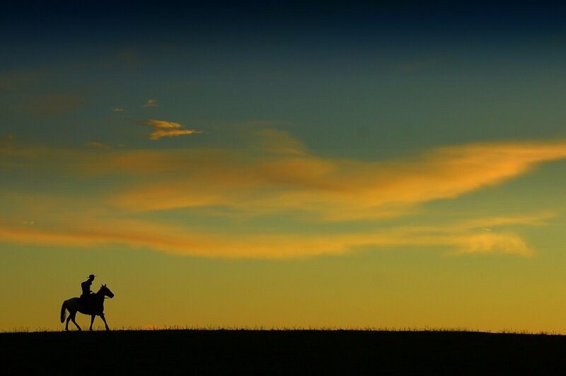 Rider on Horse Silhouette — Yellow
