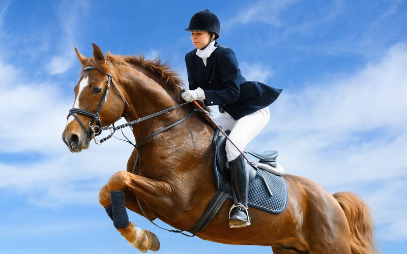 Rider on Jumping Horse — Brown