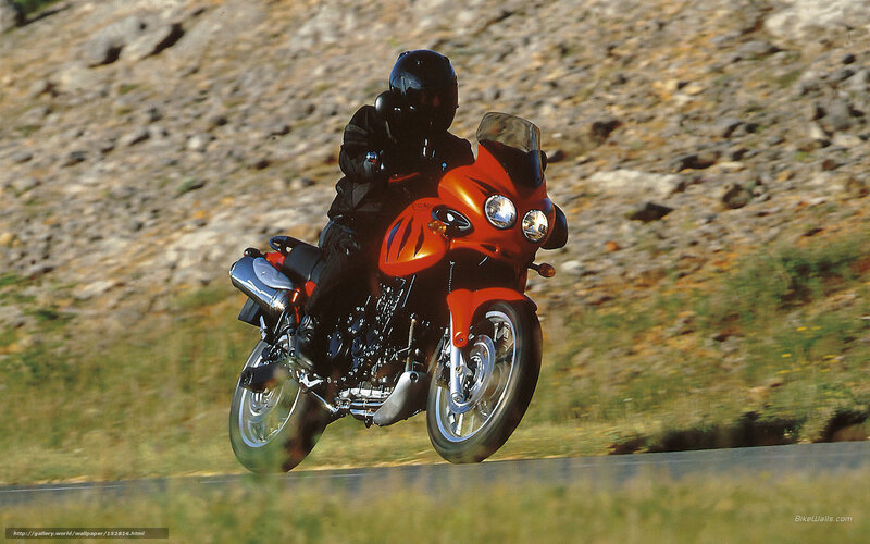 rider on orange motorcycle