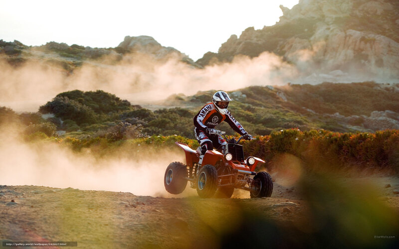 Rider on Quad Bike — Orange