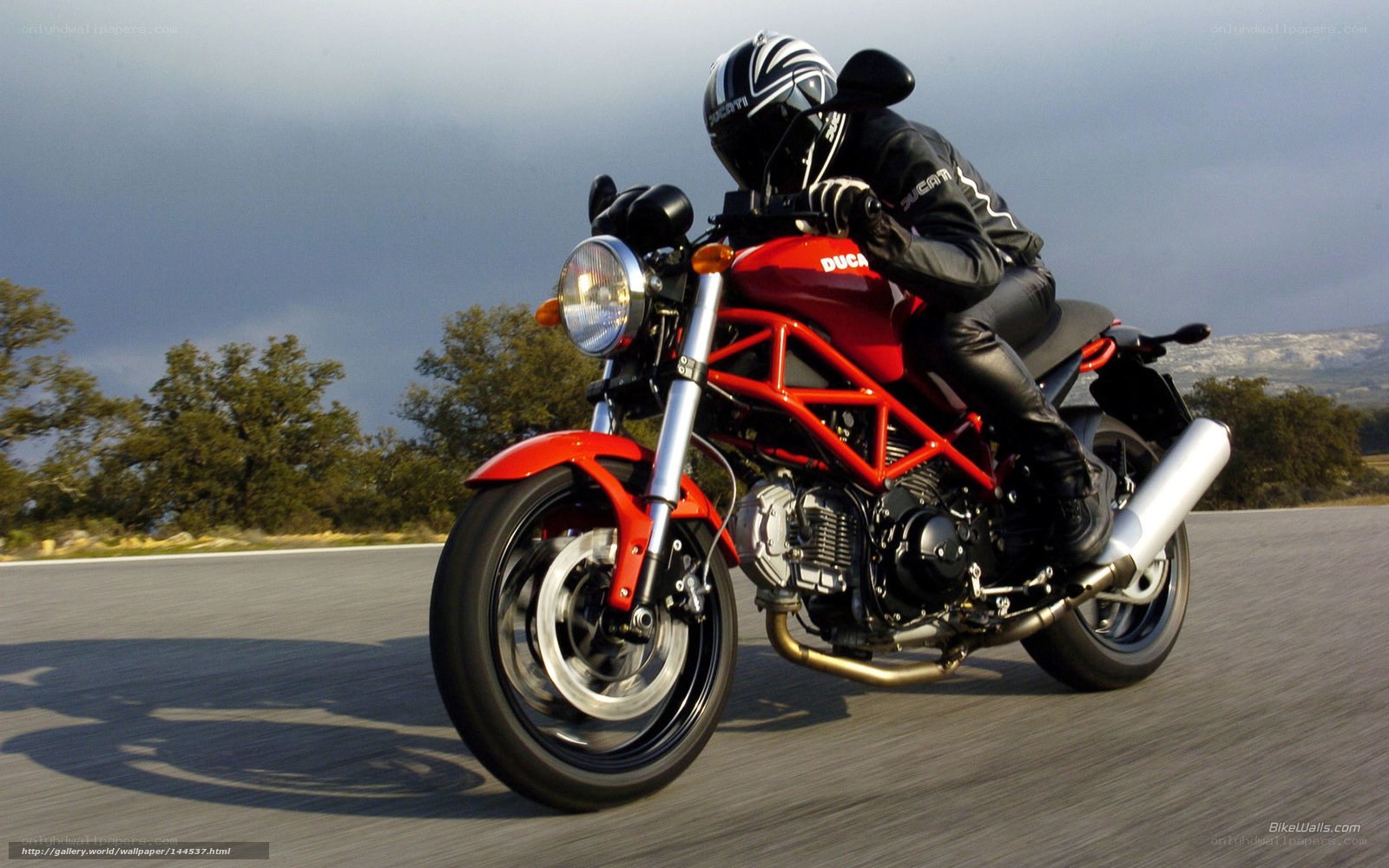 rider on red motorcycle