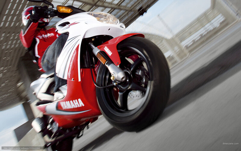 Rider on Red Motorcycle — Dynamic, Afternoon, Photograph, Bridge