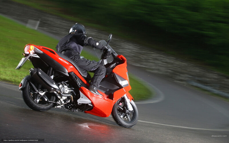 Rider on Red Scooter — Dynamic