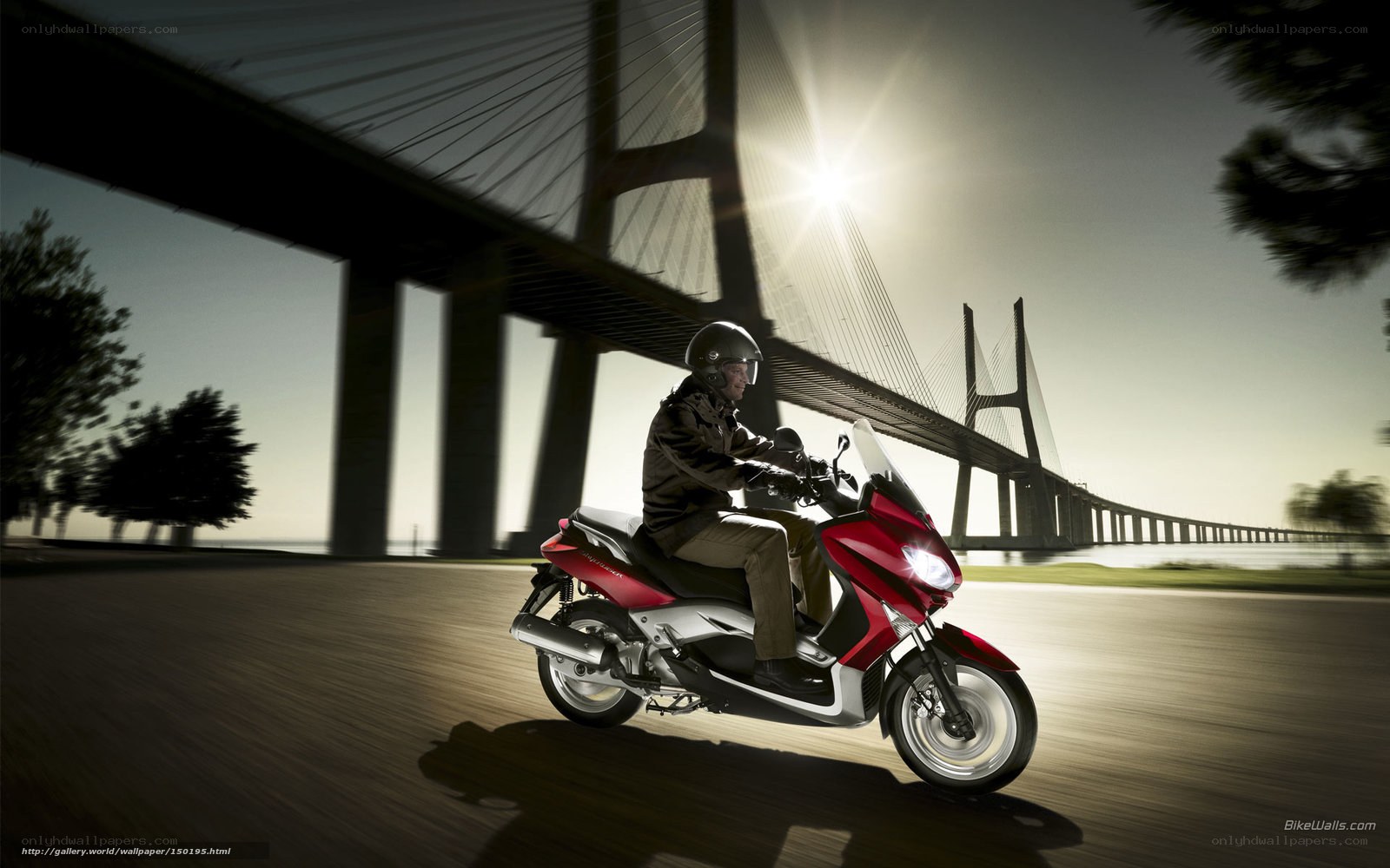 Rider on red scooter under bridge