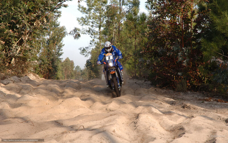rider on sandy trail