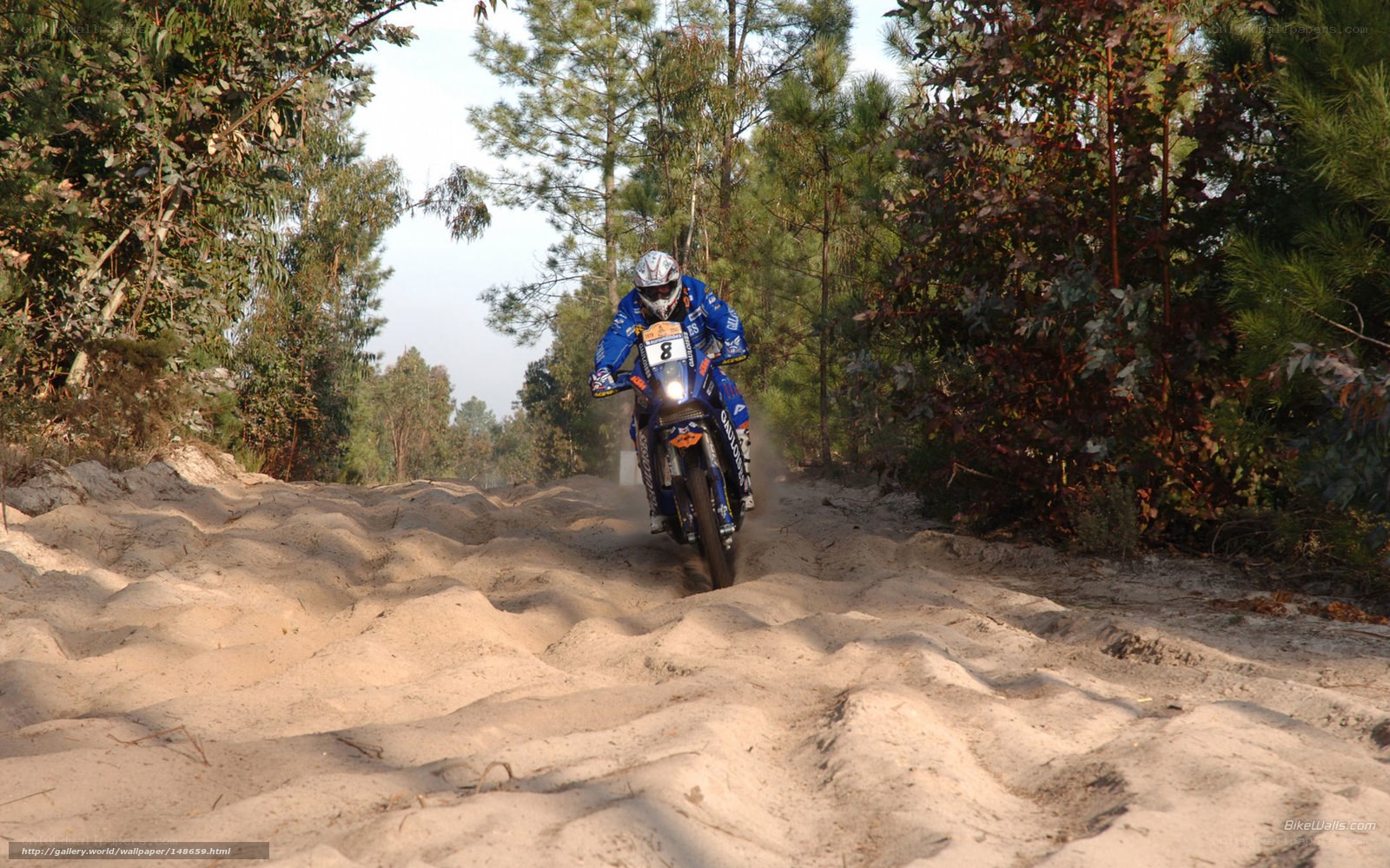 rider on sandy trail