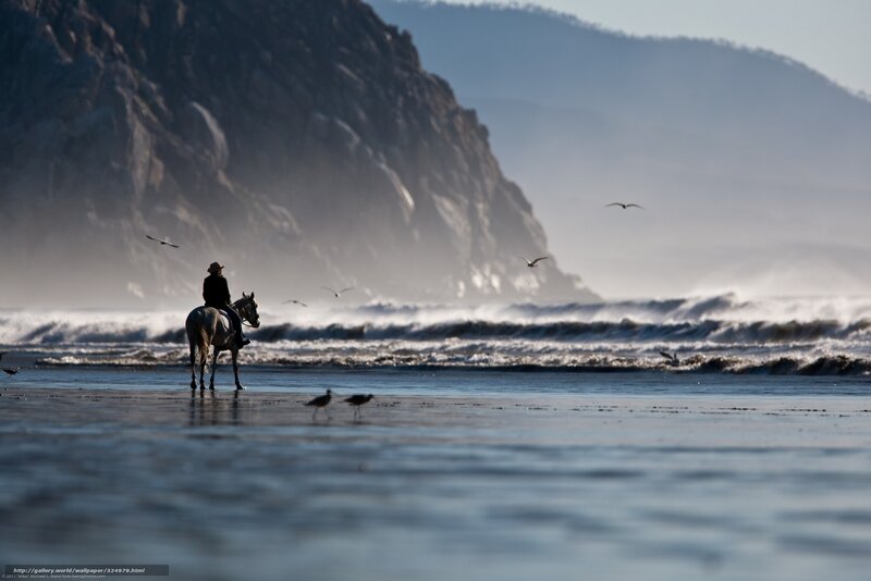 Rider on the beach at sunset