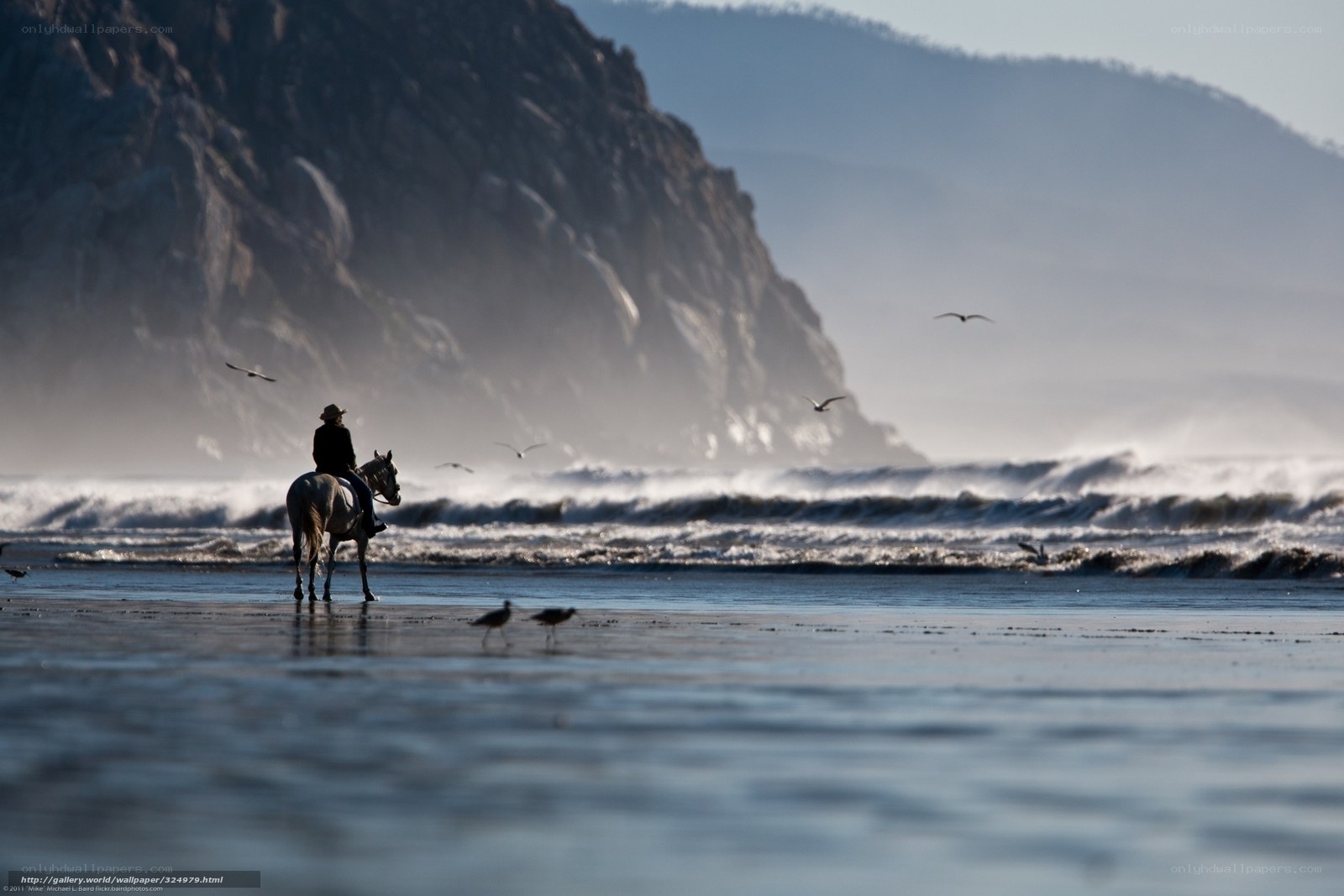 Rider on the beach at sunset
