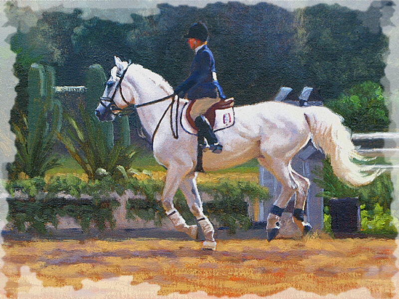 Rider on White Horse — Calm, Afternoon