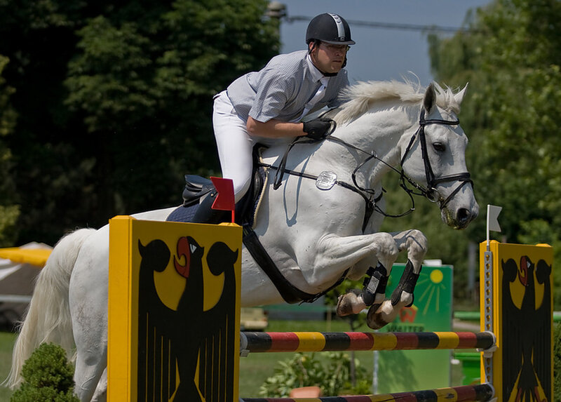 Rider on White Horse — Focused, Afternoon