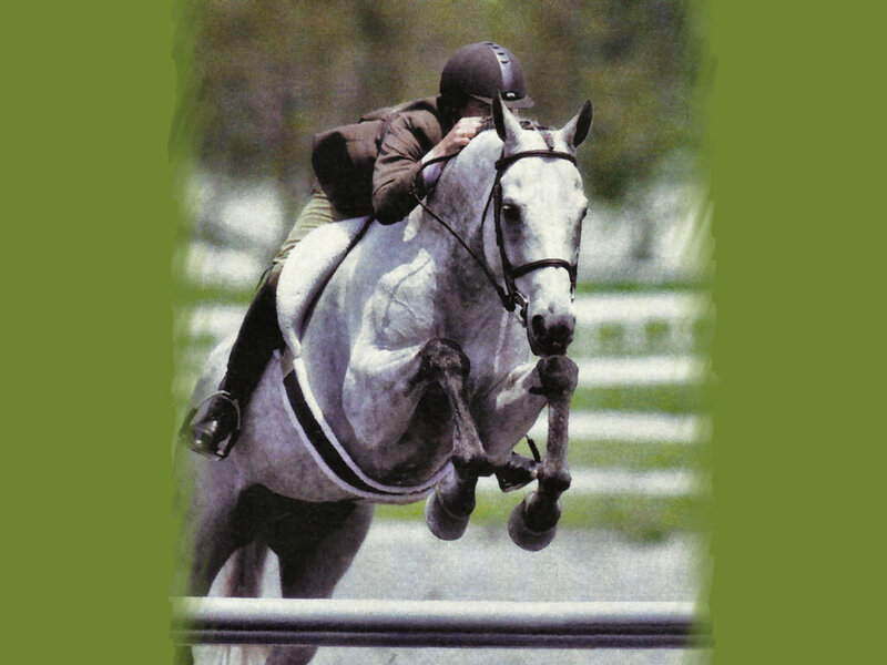 Rider on White Horse — Green